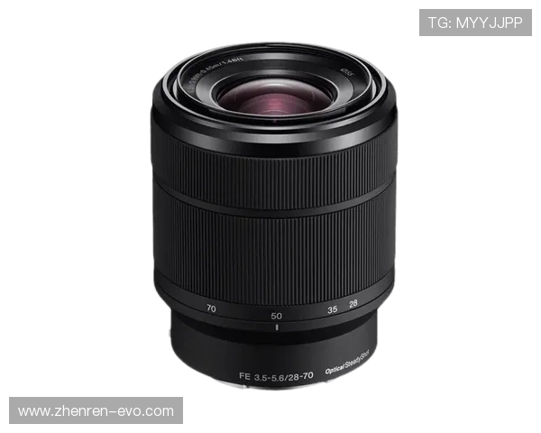 大发体育全面解析最新赛事资讯与热门体育动态全覆盖