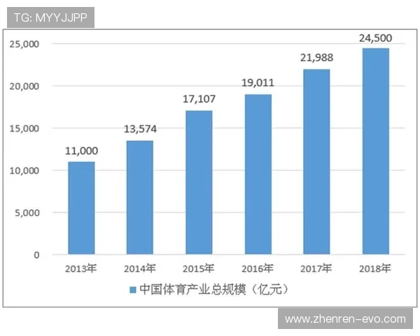 冠亚体育全方位解析与未来发展趋势深度探讨